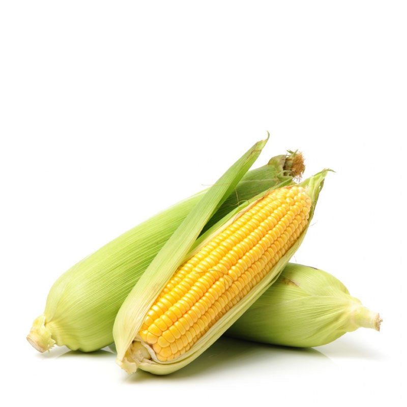 Kukurydza słodka kolba 3szt