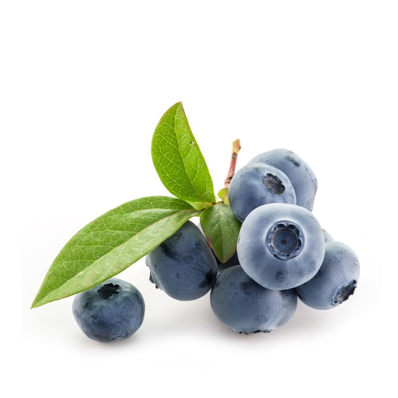 Borówka amerykańska – ES 125g