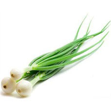 ZIELONA CEBULKA DYMKA 1PĘCZEK