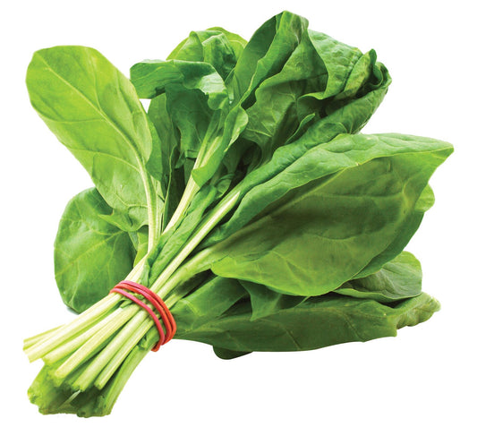 SZPINAK ŚWIEŻY 1WIĄZKA PL