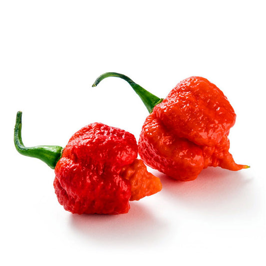 Papryka Carolina Reaper ostra 1szt.