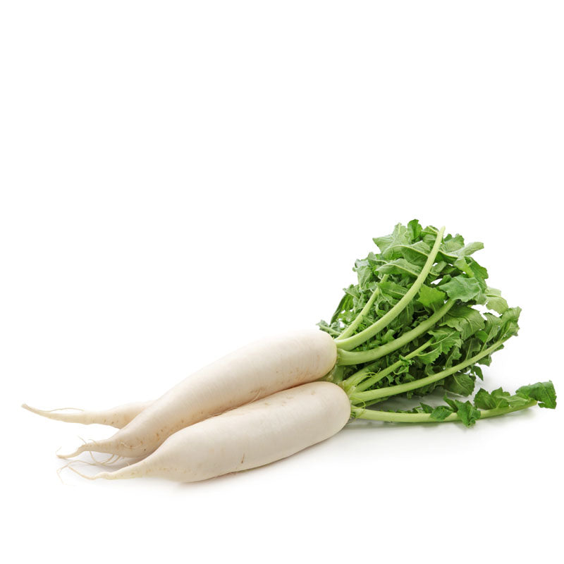 Rzodkiew biała długa (1szt)