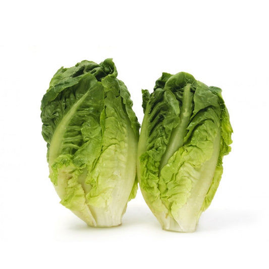 Sałata rzymska mini