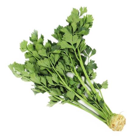 Seler z nacią 1szt.